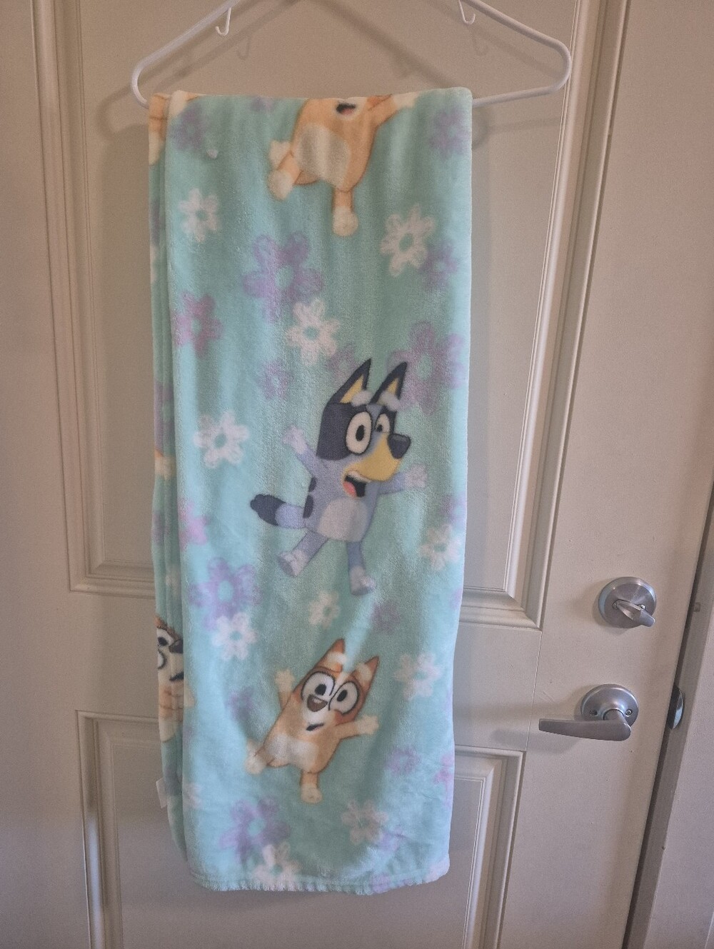 Kids Bluey Throw Blanket